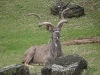IMGP0735.jpg