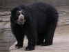 IMGP0737.jpg