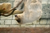 IMG_8977a.jpg