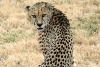 IMG_9002a.jpg